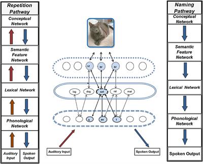 Treatment of the Linguistic and Temporal Components of Lexical Activation to Improve Word Retrieval in Aphasia